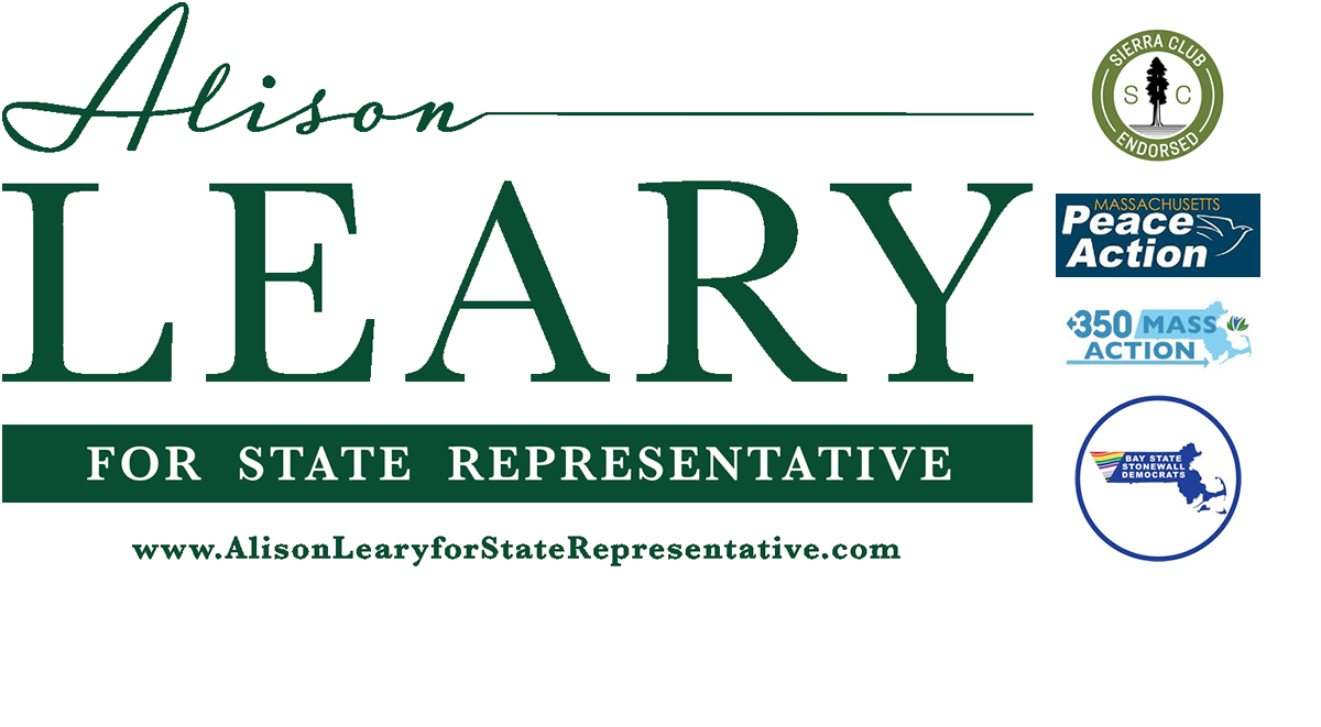 Alison Leary for State Representative